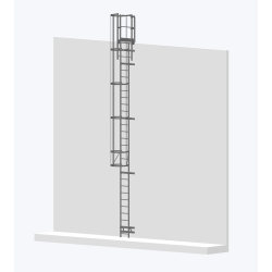 Echelle à crinoline 8000mm bardage avec sortie large 770mm - accès sécurisé pour bâtiment industriel.