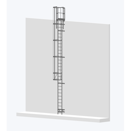 Echelle à crinoline 8000mm bardage avec sortie large 770mm - accès sécurisé pour bâtiment industriel.