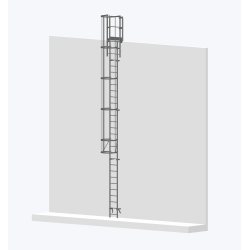 Echelle à crinoline 8000mm avec sortie large 770mm - solution d'accès vertical sécurisé.