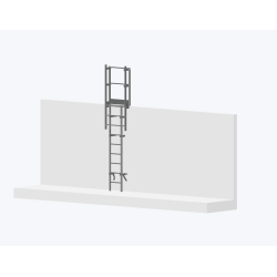 Echelle à crinoline de 2500mm avec sortie 770mm.